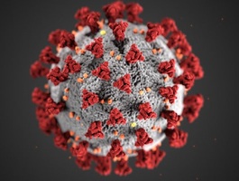 Help Prevent the Transmission and Spread of Coronavirus
