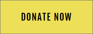 Donate Now!